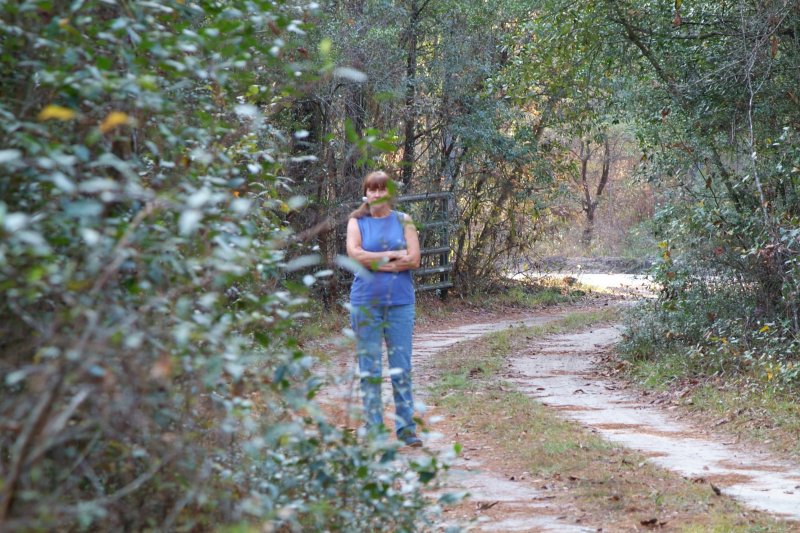 driveway01.jpg
